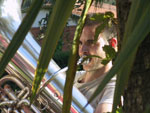Pietrasanta - Italien 2005